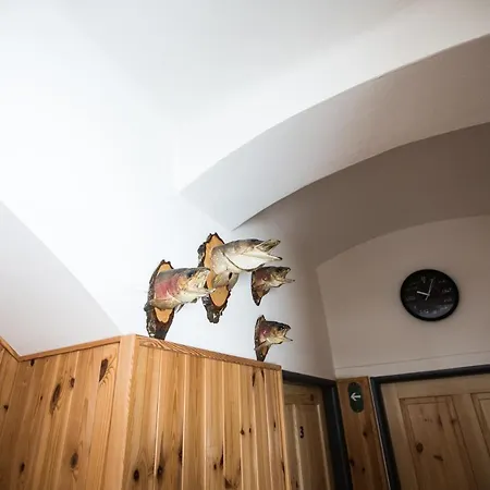 Domek alpejski Hajenka Cenkovice