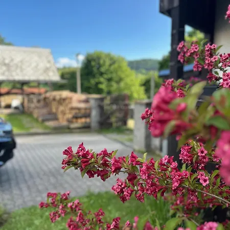 Hajenka * Cenkovice